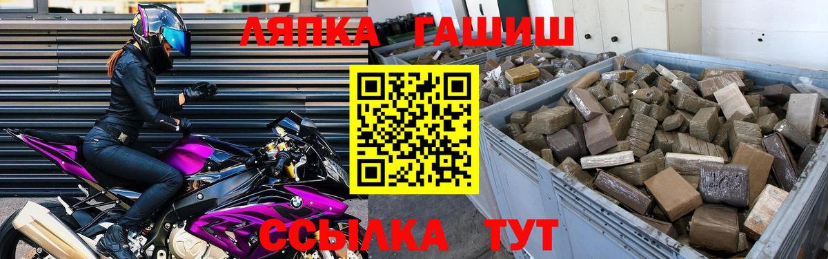 ГАШ Premium Гатчина