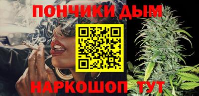 хмурый Шелехов