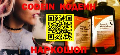 хмурый Шелехов