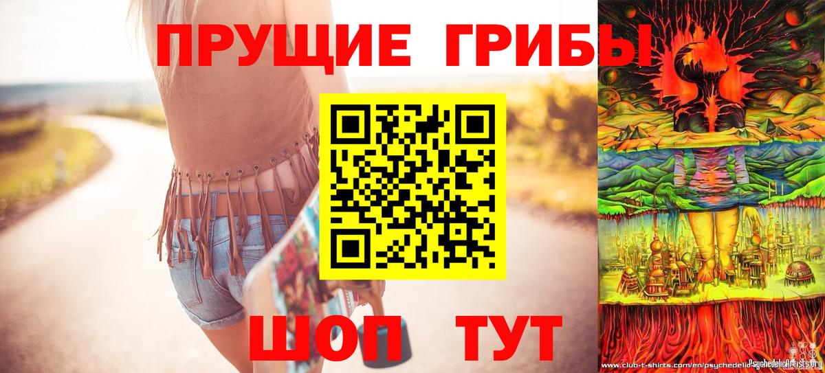 Псилоцибиновые грибы MAGIC MUSHROOMS  Вход с VPN  Псилоцибиновые грибы Psilocybine cubensis  Гатчина 